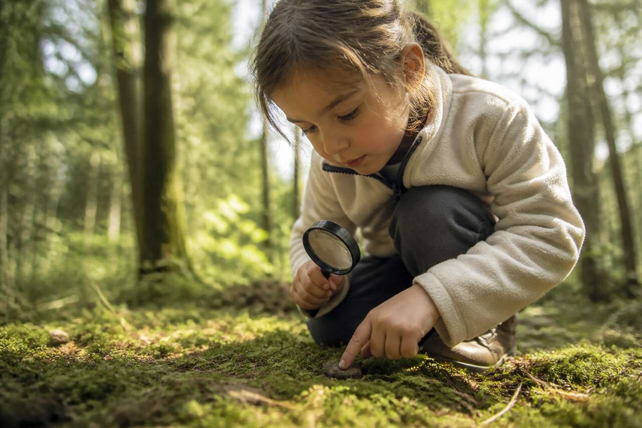Les 4 facteurs environnementaux qui influencent le plus le quotidien