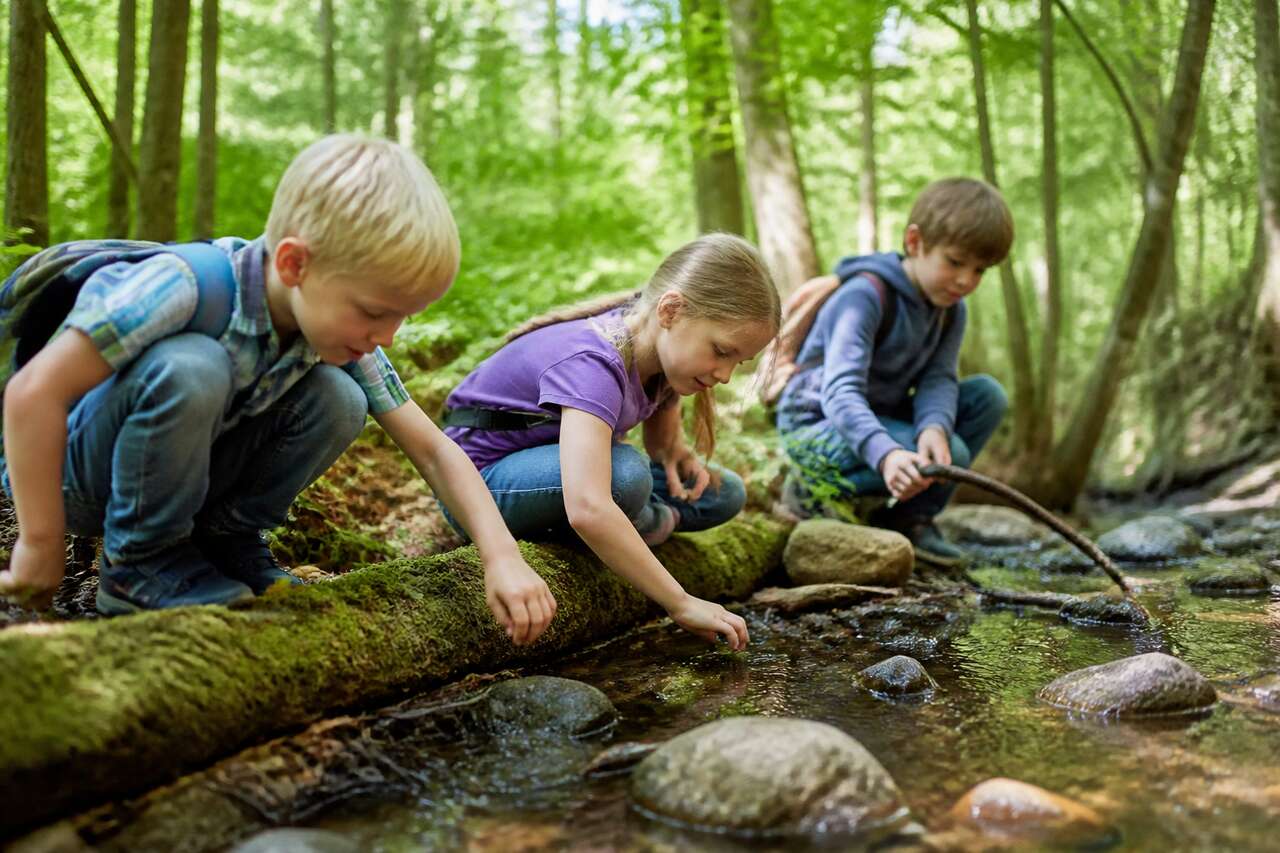 Jouer avec la nature : idées d'activités enfants