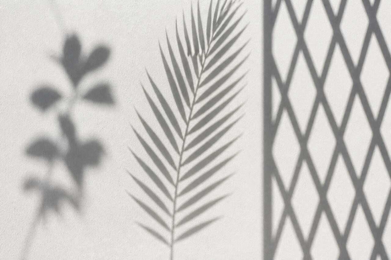 Les trois types d’ombres à reconnaître avant de dessiner Les trois types d’ombres à reconnaître avant de dessiner