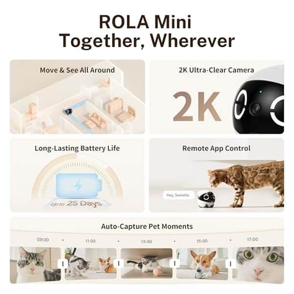 Découvrez notre test complet du robot caméra Enabot Rola Mini FamilyBot : surveillance vidéo 2k, fonctionnalités et avis pour garder un œil sur vos animaux de compagnie.