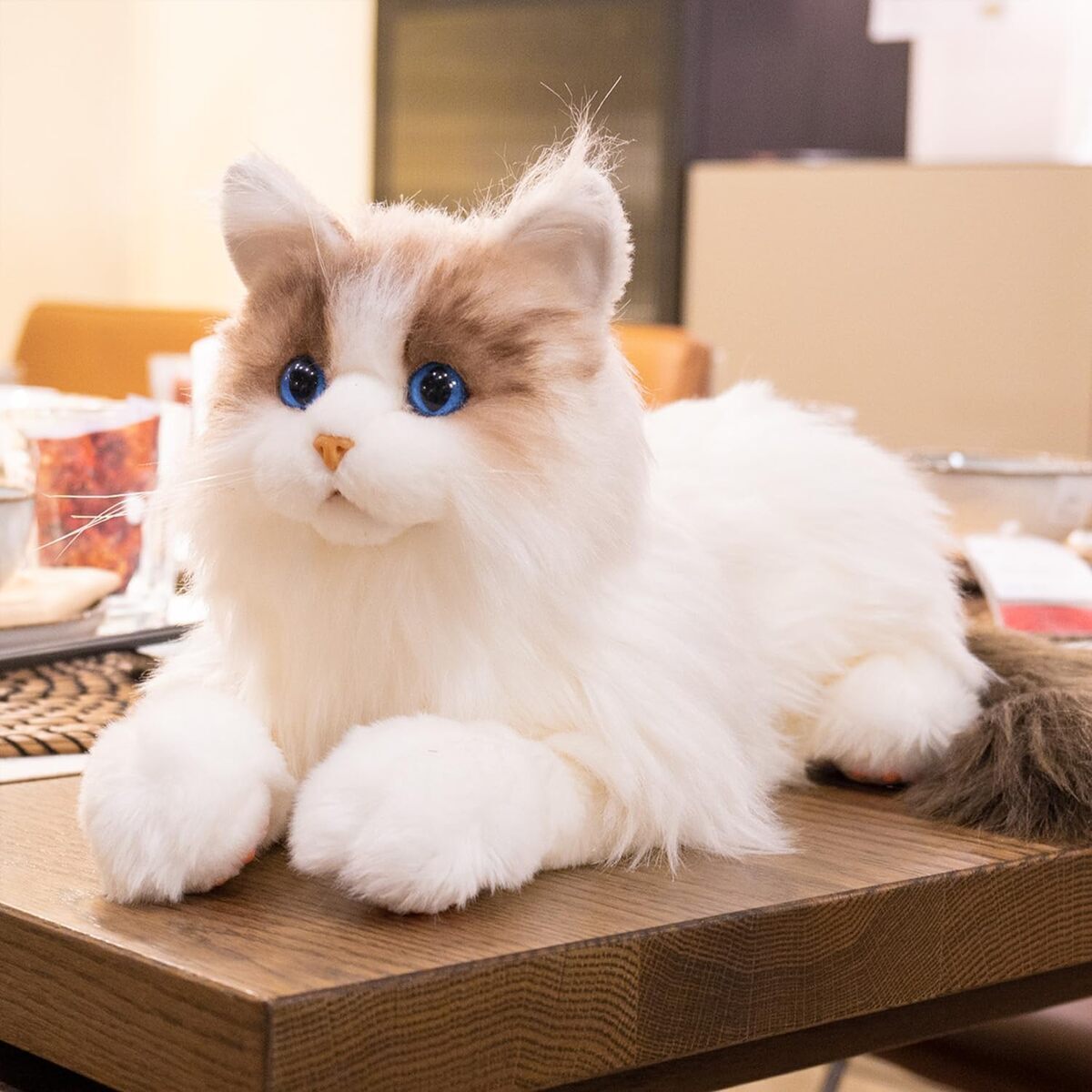 Test du Chongker Jouet en peluche interactif chat robot : mouvement bionique et ronronnement